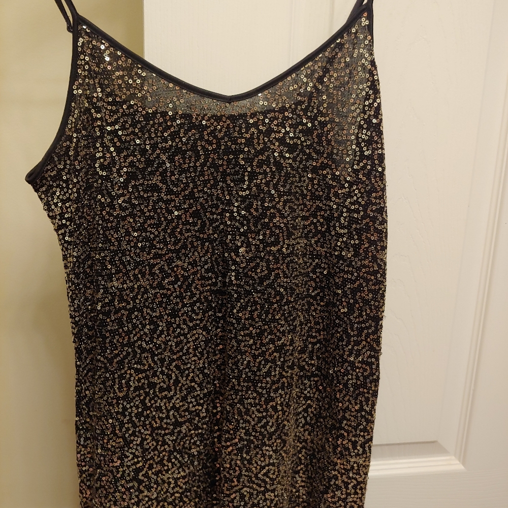 Express sequin (gold/silver) Dress tank